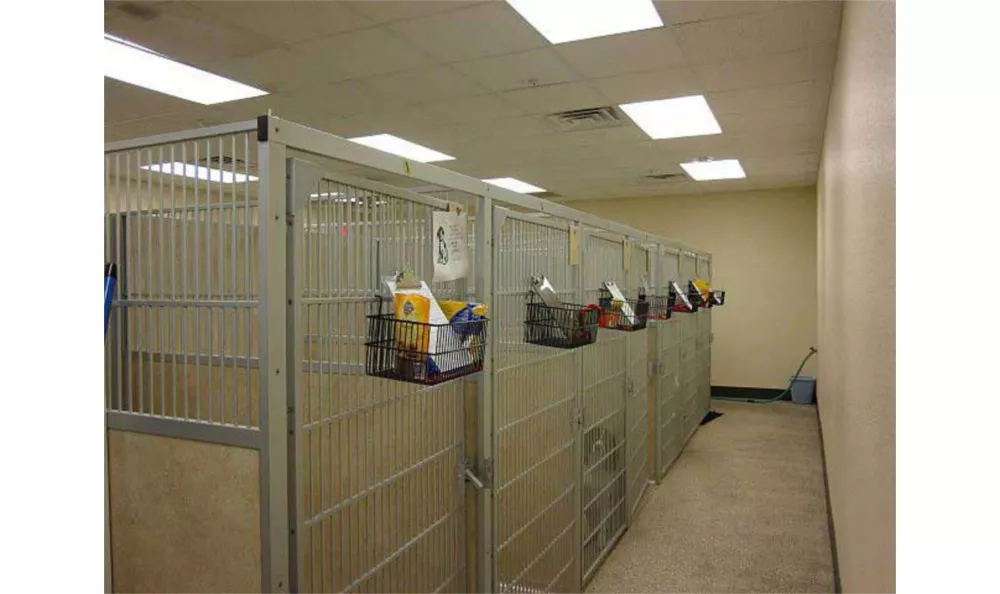 Kennel
