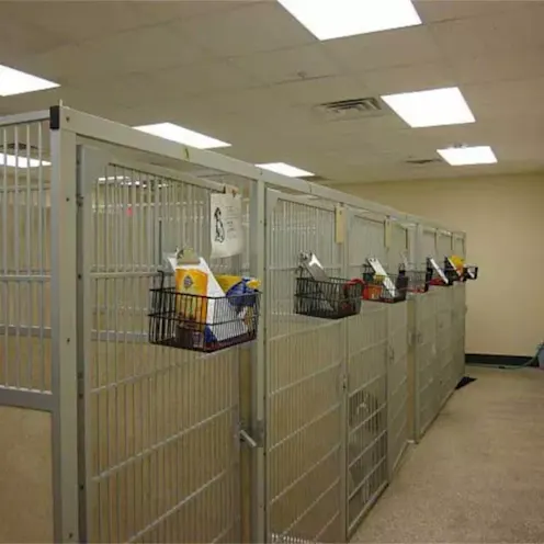 Kennel Kennel