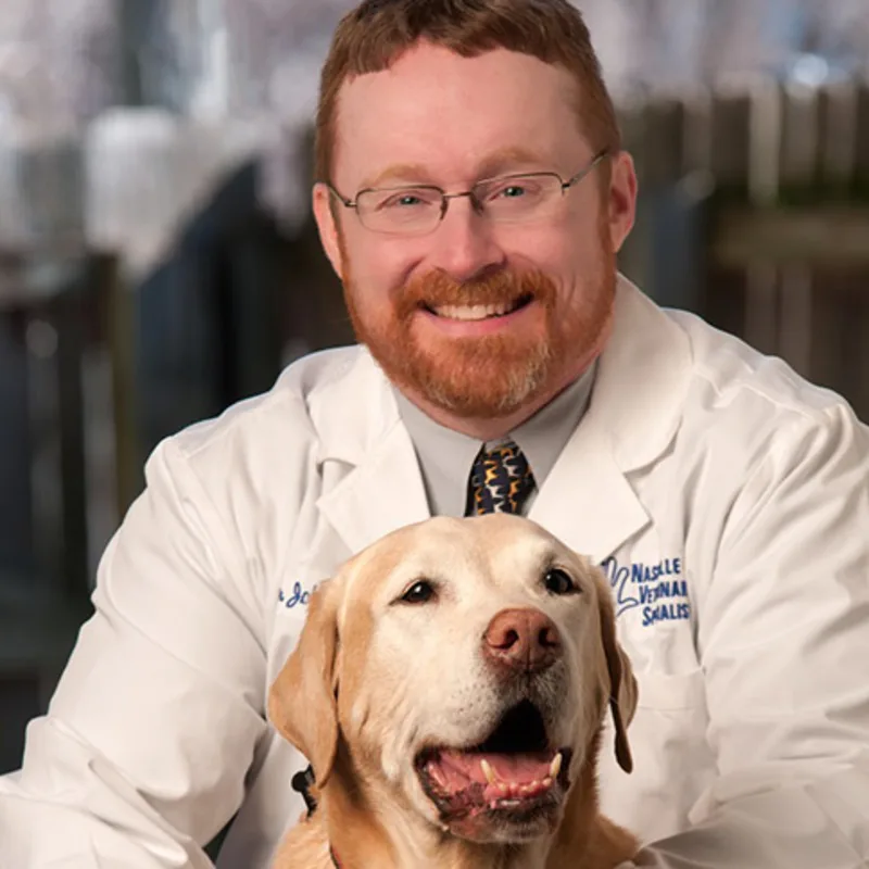 John Sessions, DVM & DACVIM at Nashville Veterinary Specialists John Sessions, DVM & DACVIM at Nashville Veterinary Specialists