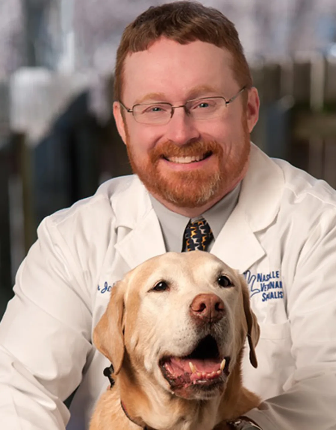 John Sessions, DVM & DACVIM at Nashville Veterinary Specialists John Sessions, DVM & DACVIM at Nashville Veterinary Specialists