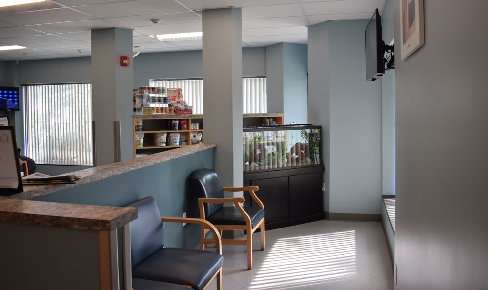 Larkin Veterinary Center Cat Waiting Room