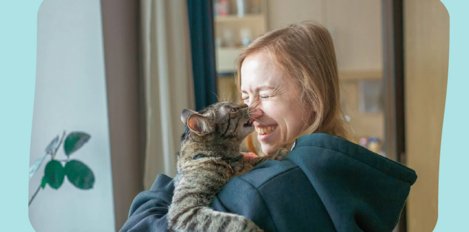 A woman holding a cat in her arms while the cat reaches up and licks the woman's nose. A woman holding a cat in her arms while the cat reaches up and licks the woman's nose.