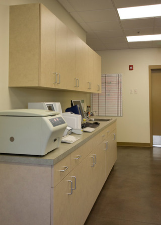 The Center for Bird and Exotic Medicine Lab