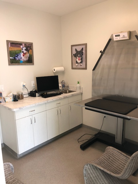 Examination Room and large table