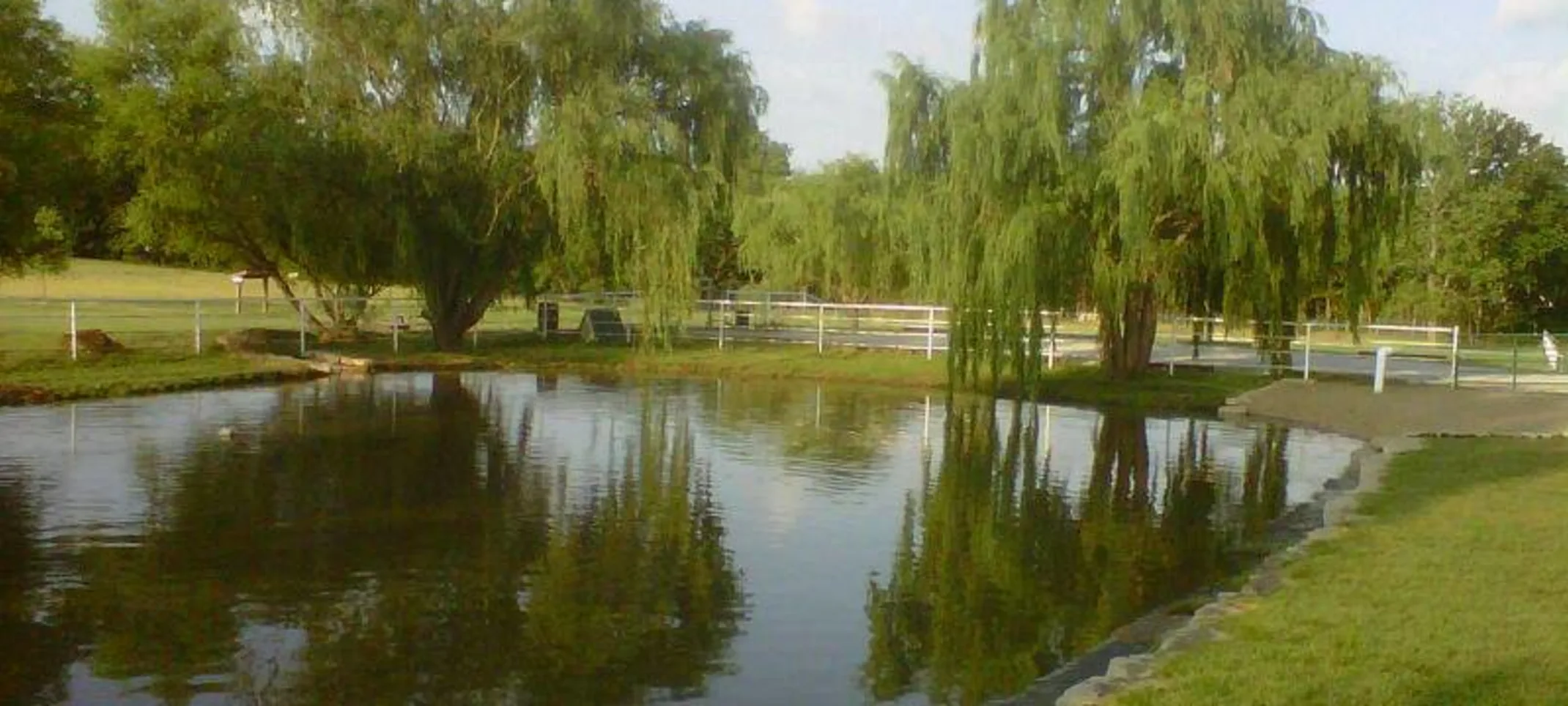 The lake and pond outside of The Pet Ranch