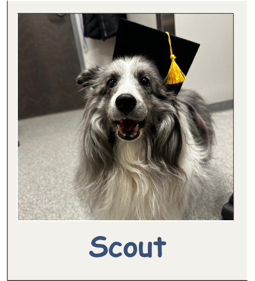 Oncology Graduate Album - Scout