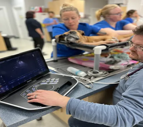 Patient getting an Echocardiogram Patient getting an Echocardiogram