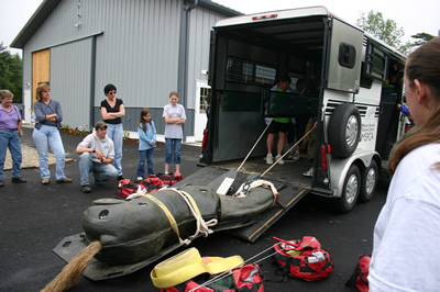 Safe Trailering in an Emergency 
