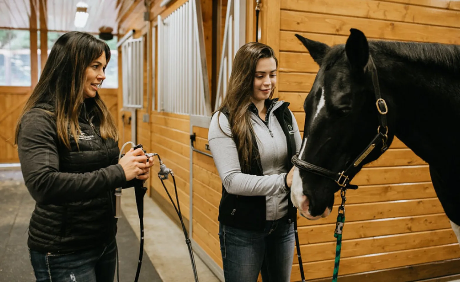 A doctor and technician performing an endoscopy on a horse A doctor and technician performing an endoscopy on a horse