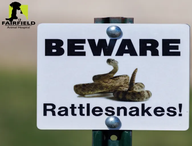 Beware Rattlesnake Sign Beware Rattlesnake Sign