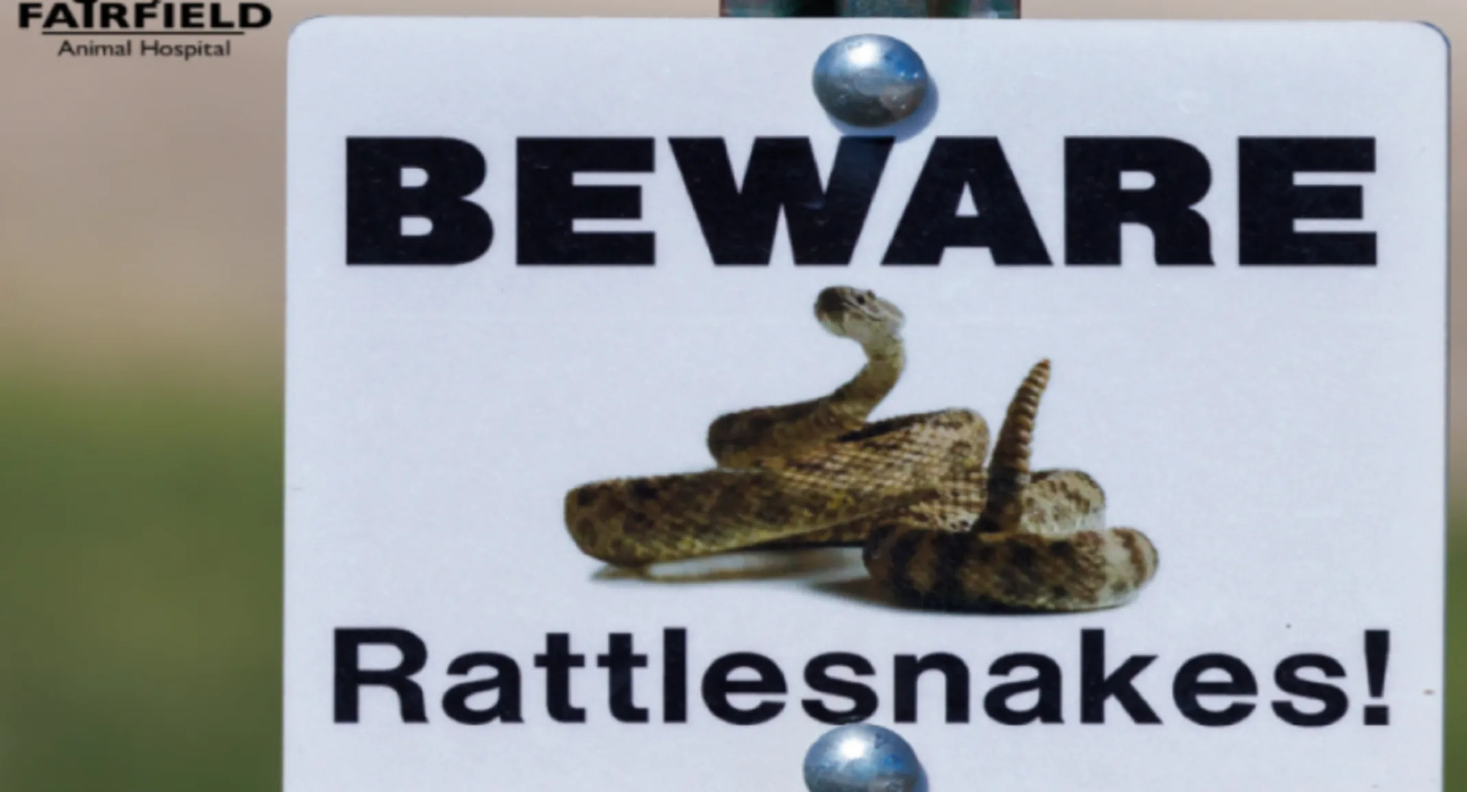 Beware Rattlesnake Sign Beware Rattlesnake Sign