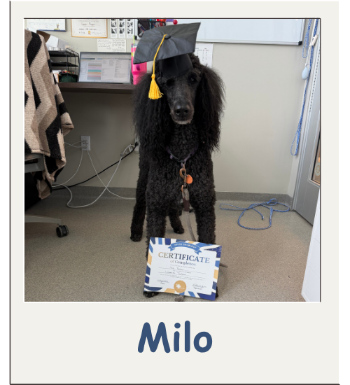 Oncology Graduate Album - Milo