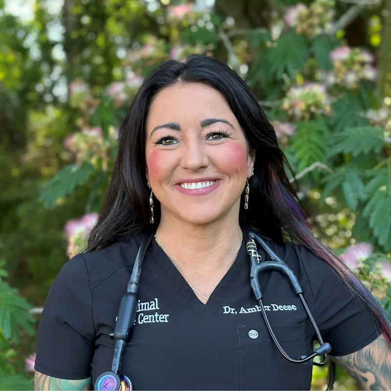 Amber Deese, DVM Amber Deese, DVM