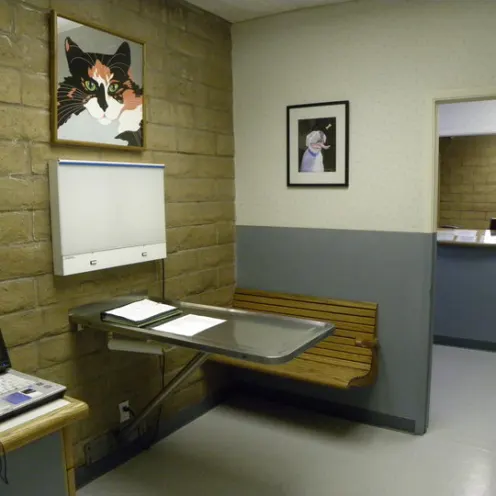 East Lake Animal Clinic's Exam Room 3 which consist of a smaller room that has a desk with a laptop, adjustable checkup table, bench, x-ray light board