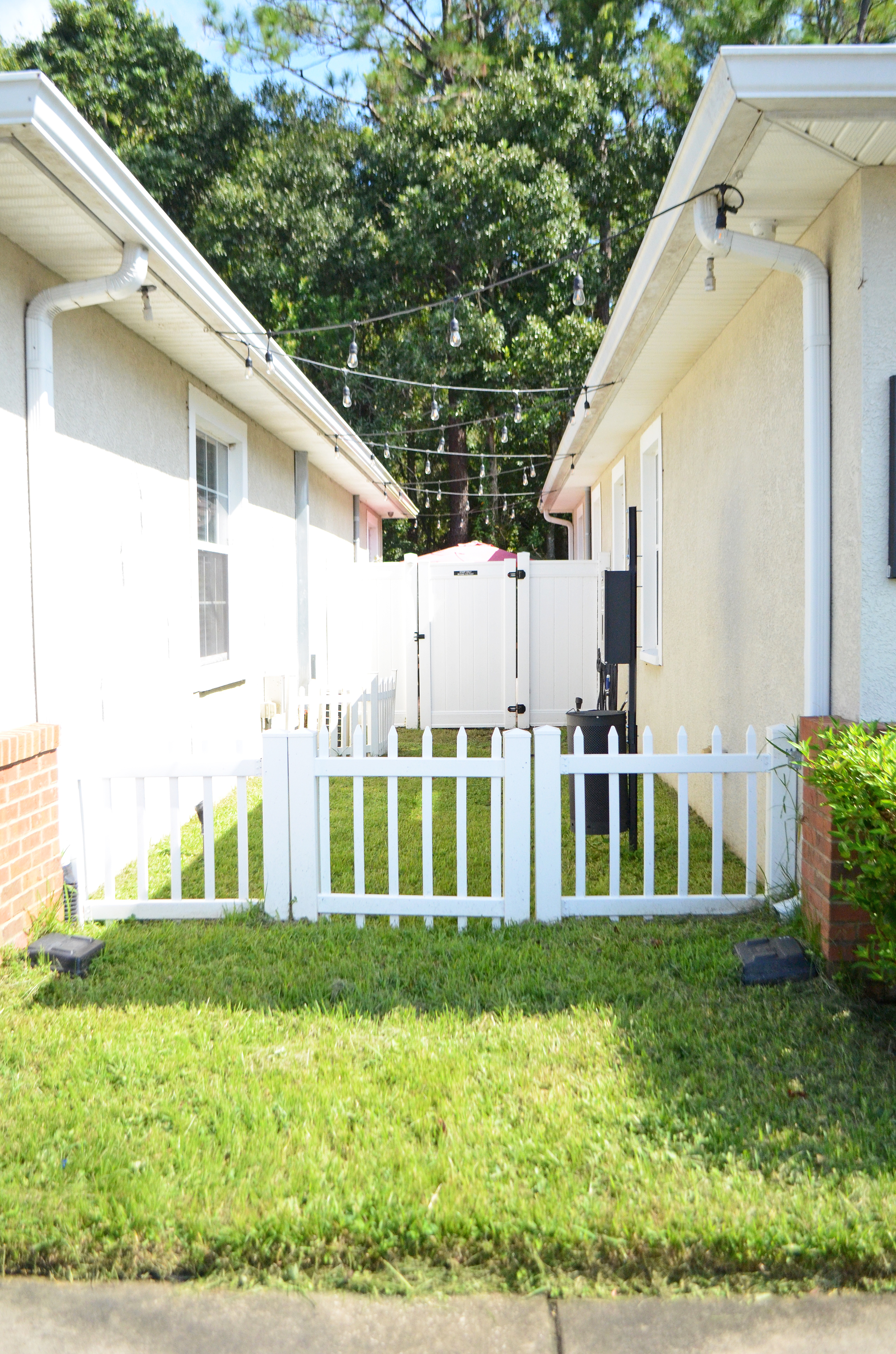 Wellness Center - Outdoor Dog Walk Area