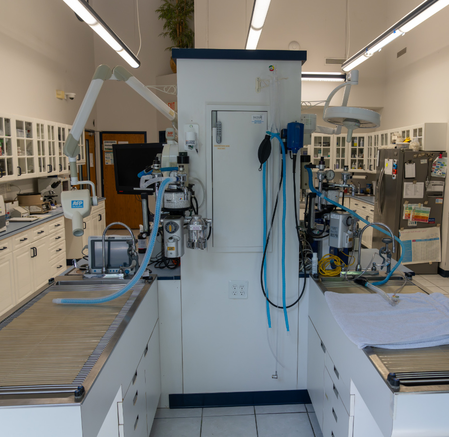 Back of the medical exam room