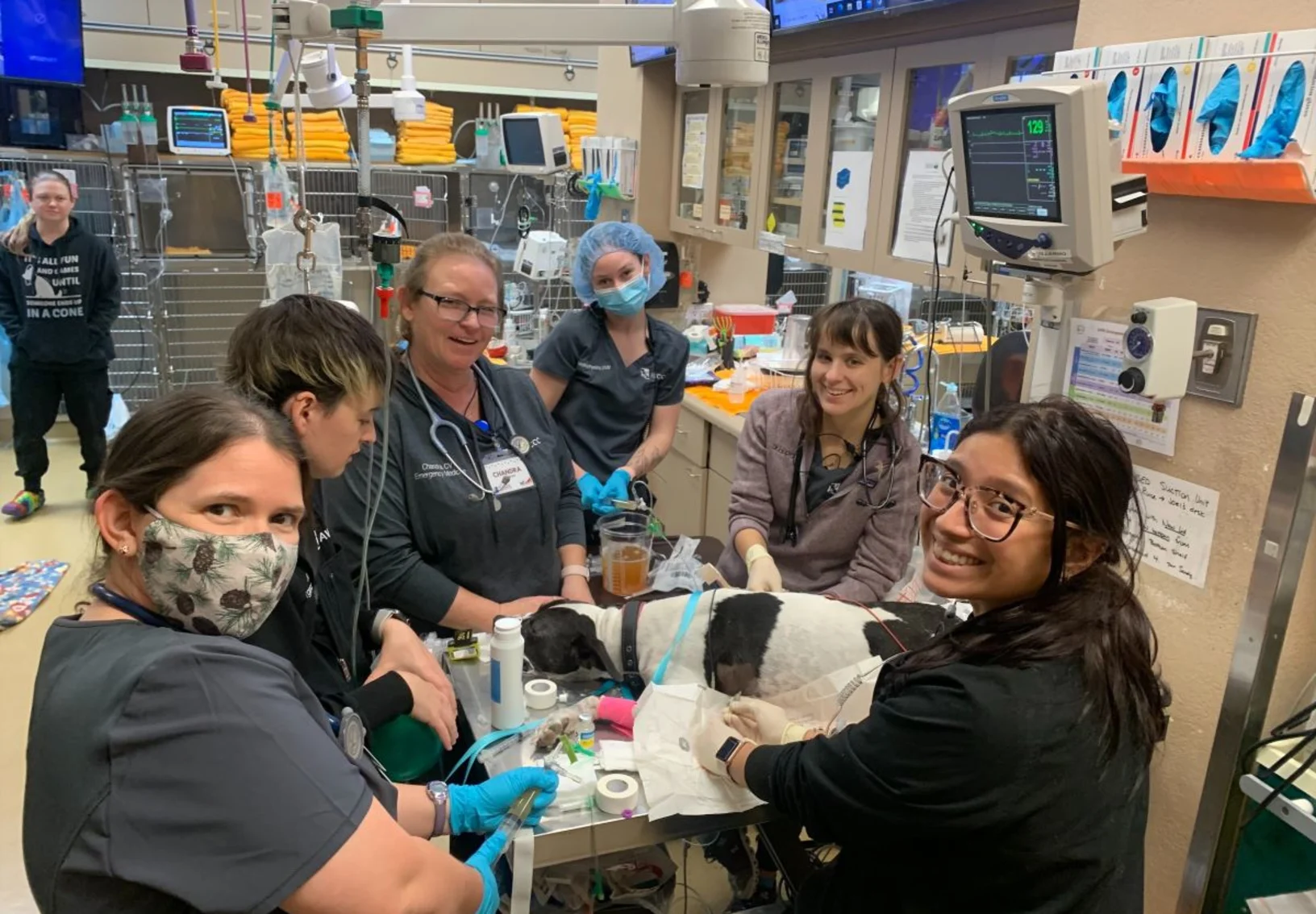 6 Arizona Veterinary Emergency & Critical Care Center staff members caring for a dog 6 Arizona Veterinary Emergency & Critical Care Center staff members caring for a dog