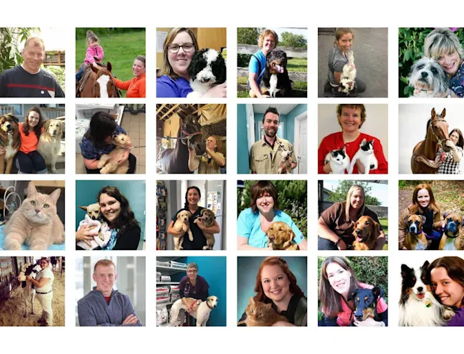 A collage of Fundy Vets staff images A collage of Fundy Vets staff images