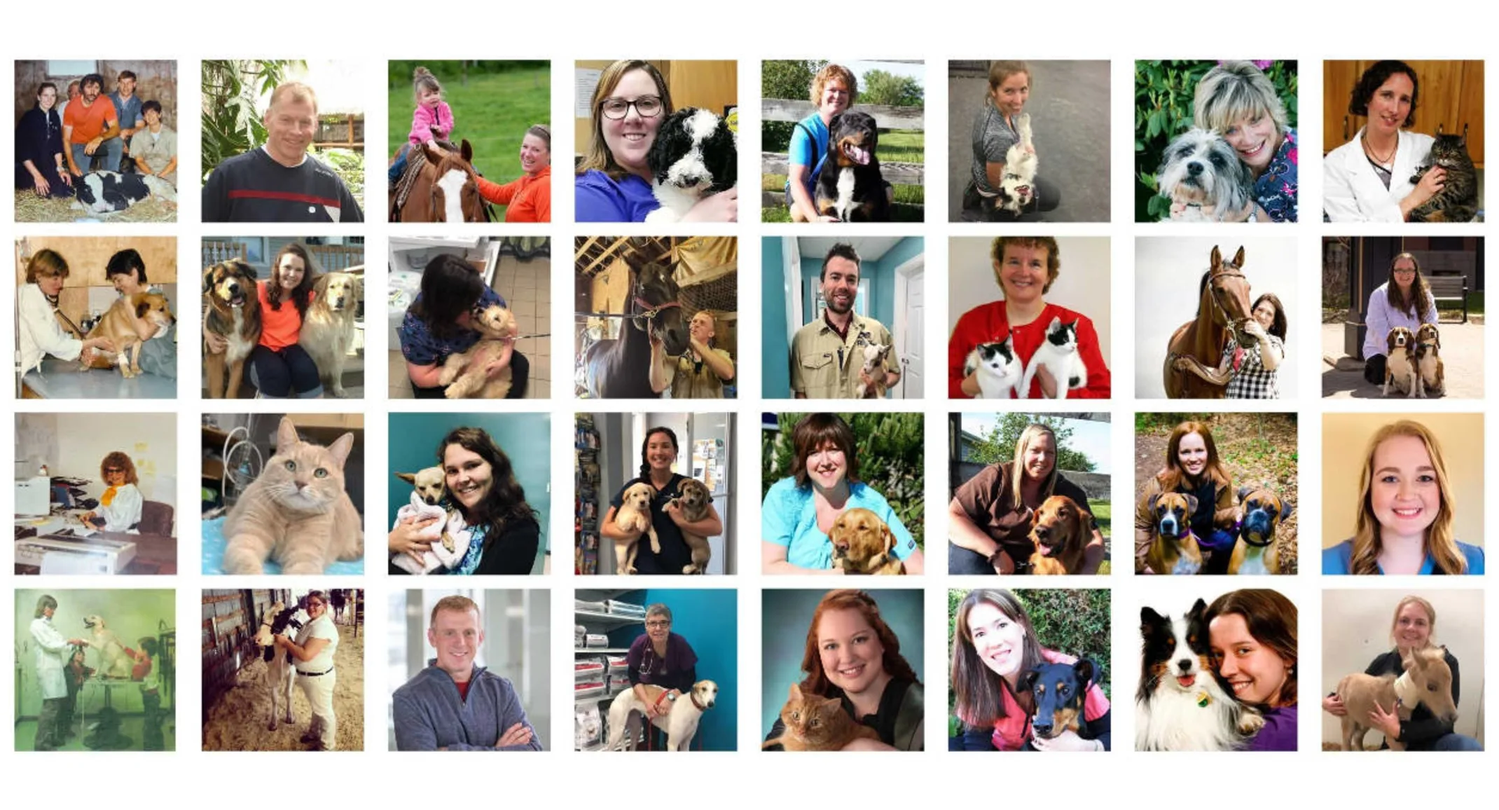 A collage of Fundy Vets staff images A collage of Fundy Vets staff images