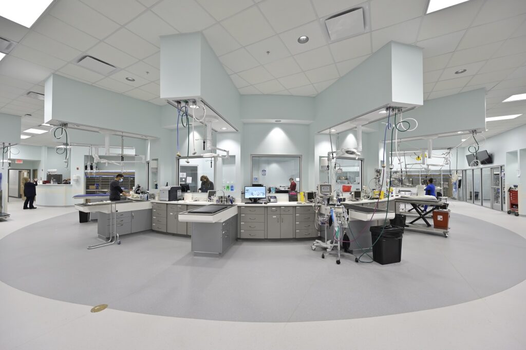 A view of an exam area at Animal Emergency & Referral Associates