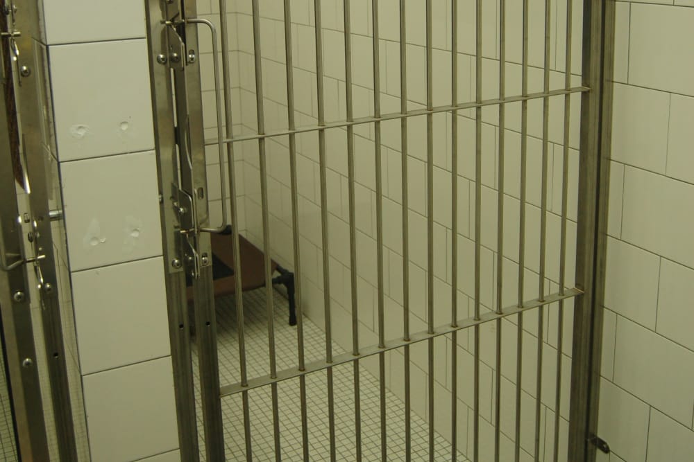 Kennels at Kenmore Animal Hospital