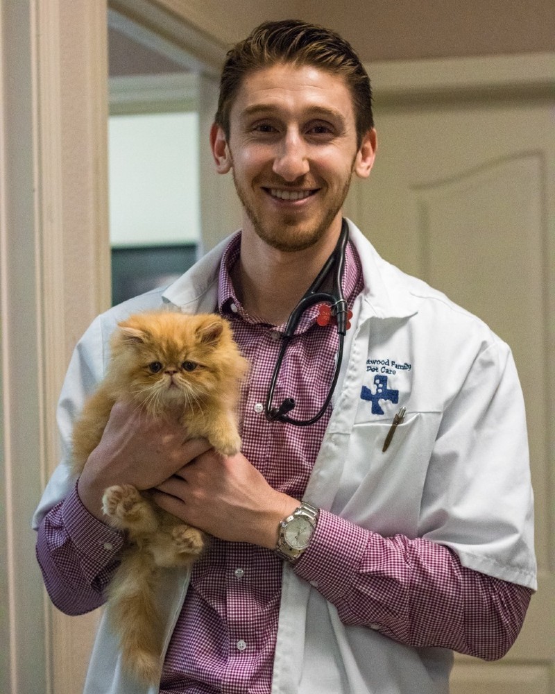 Veterinarian holding dog at Brentwood Family Pet Care