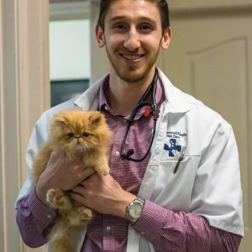 Veterinarian holding dog at Brentwood Family Pet Care