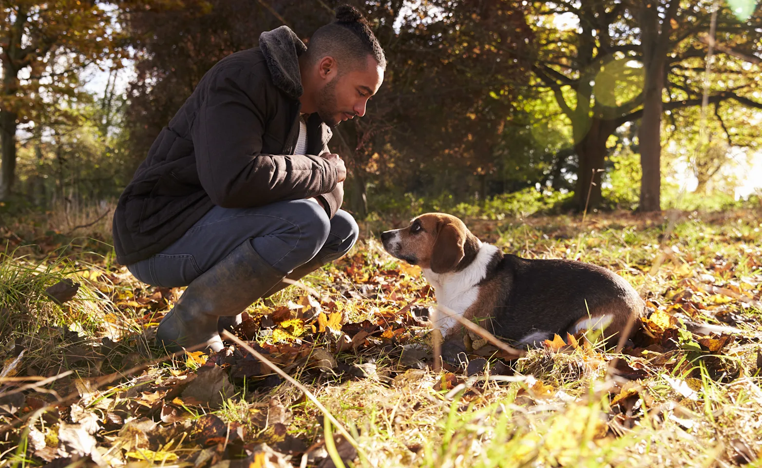 Man with dog with leaves Man with dog with leaves
