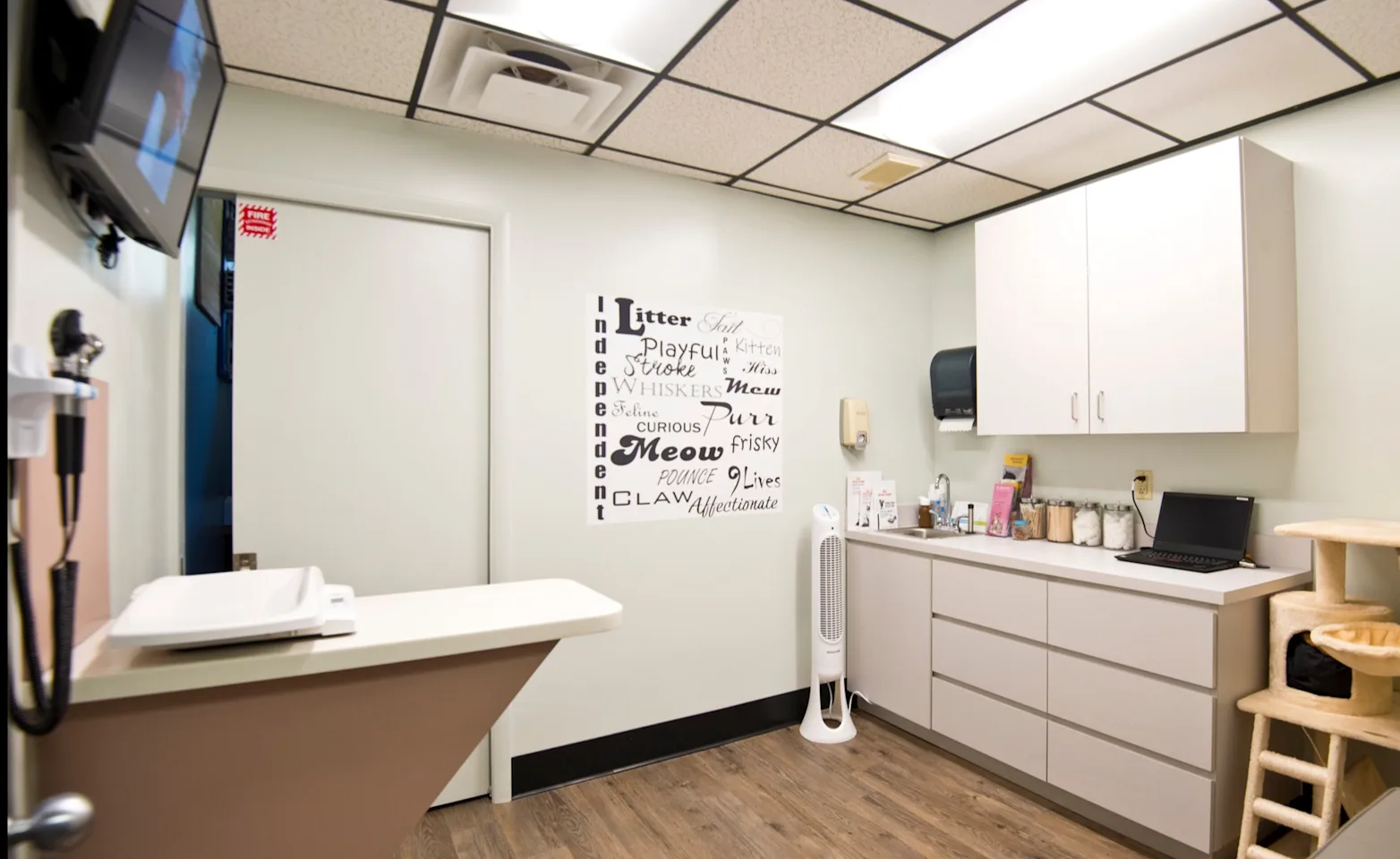 Exam Room with table and cabinets at Ehrlich Animal Hospital and Arthritis Therapy Center