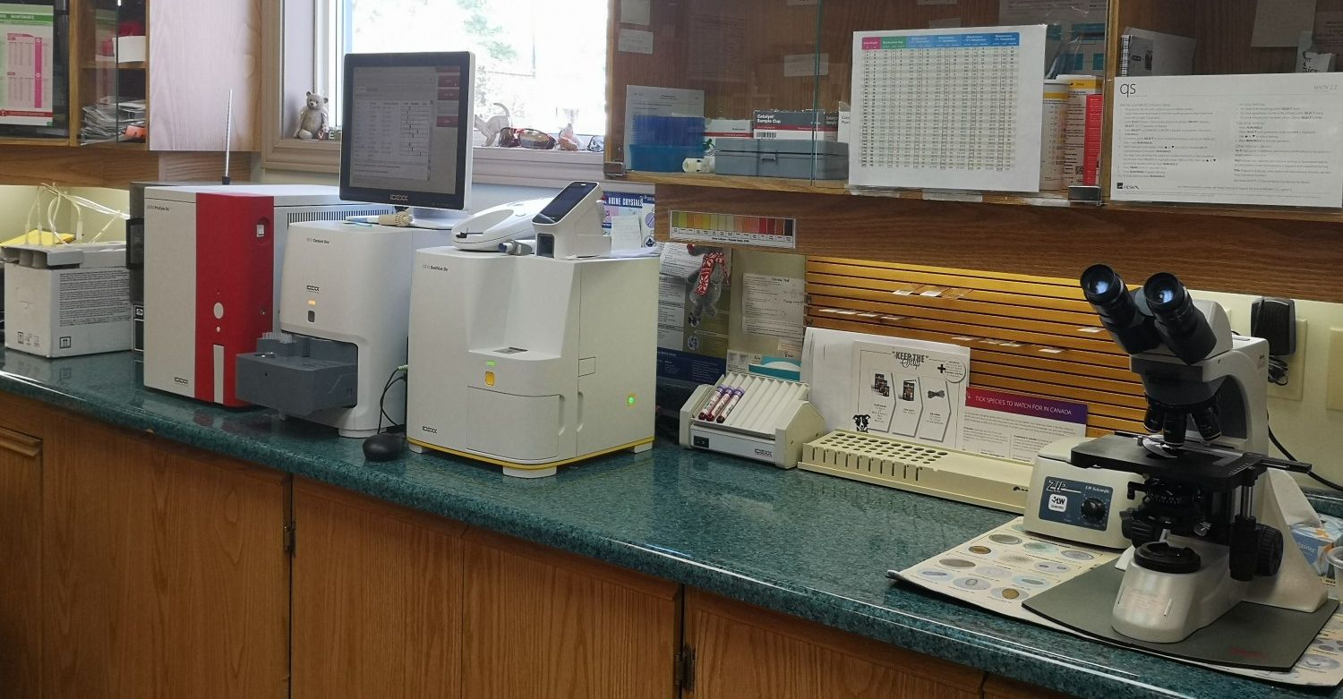 Three Islands Veterinary Services Lab