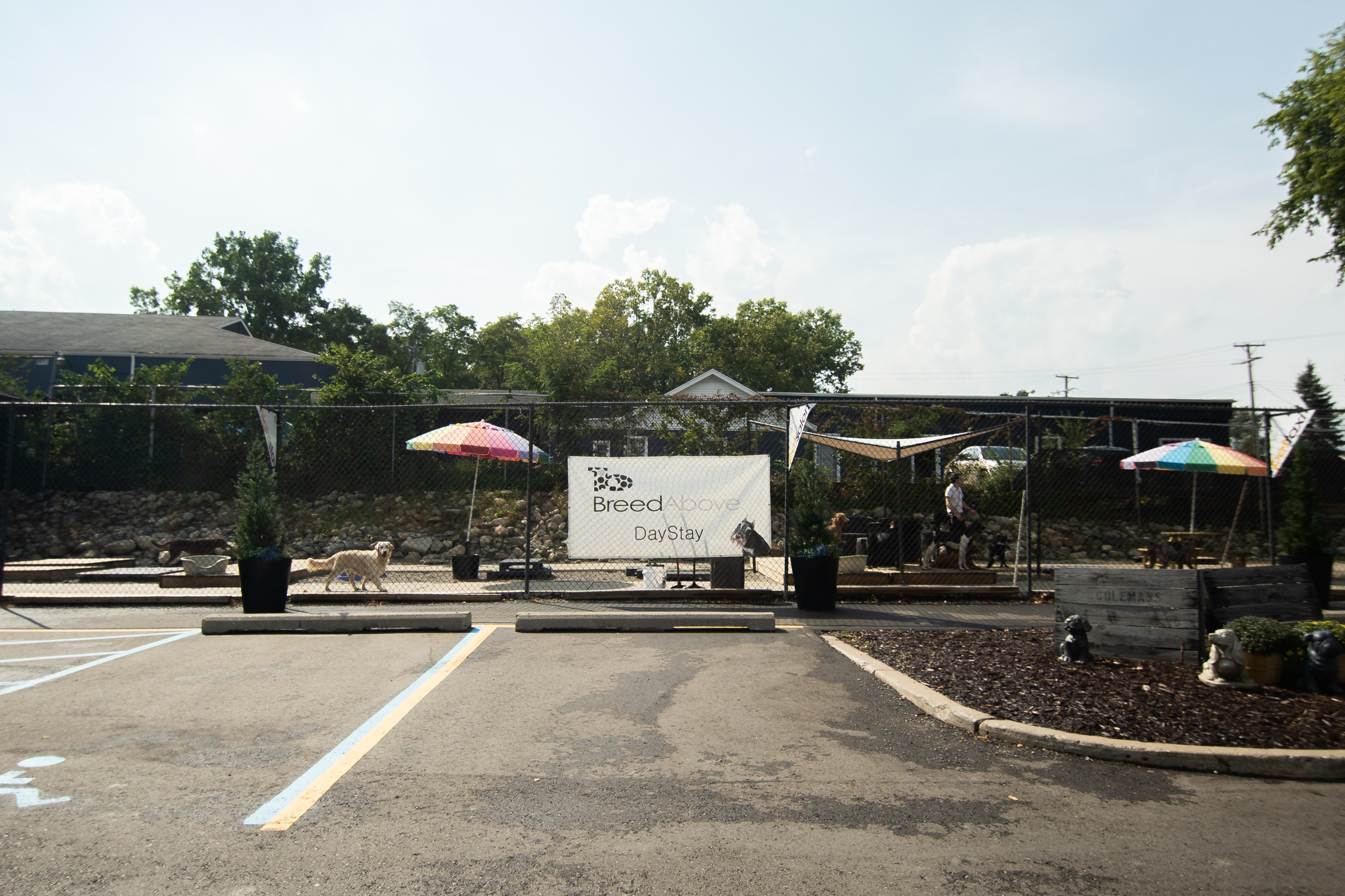 Breed Above Outdoor Area Gate