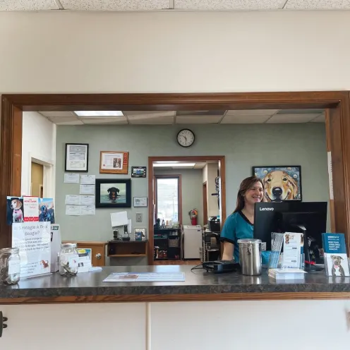 Check-in at Eastern Shore Animal Hospital.