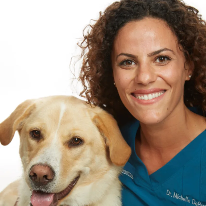 Photo of Dr. Michelle Depass. Photo of Dr. Michelle Depass.