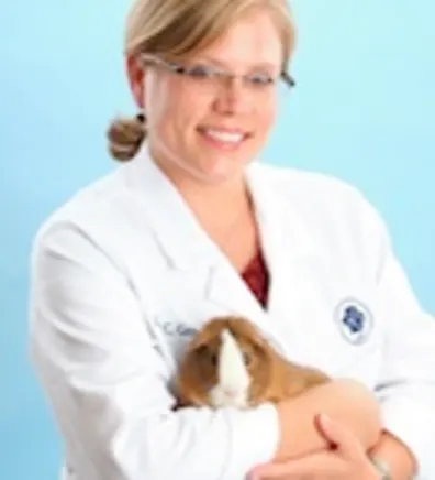 Dr. Lisa Gerity Dr. Lisa Gerity