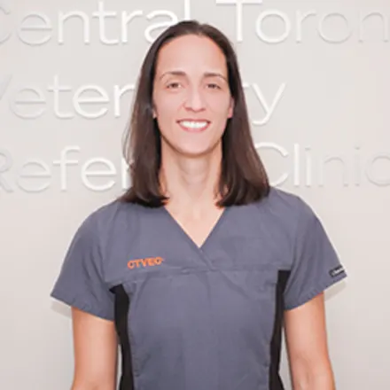 Our Veterinarians in Toronto, ON | Central Toronto Veterinary Referral ...