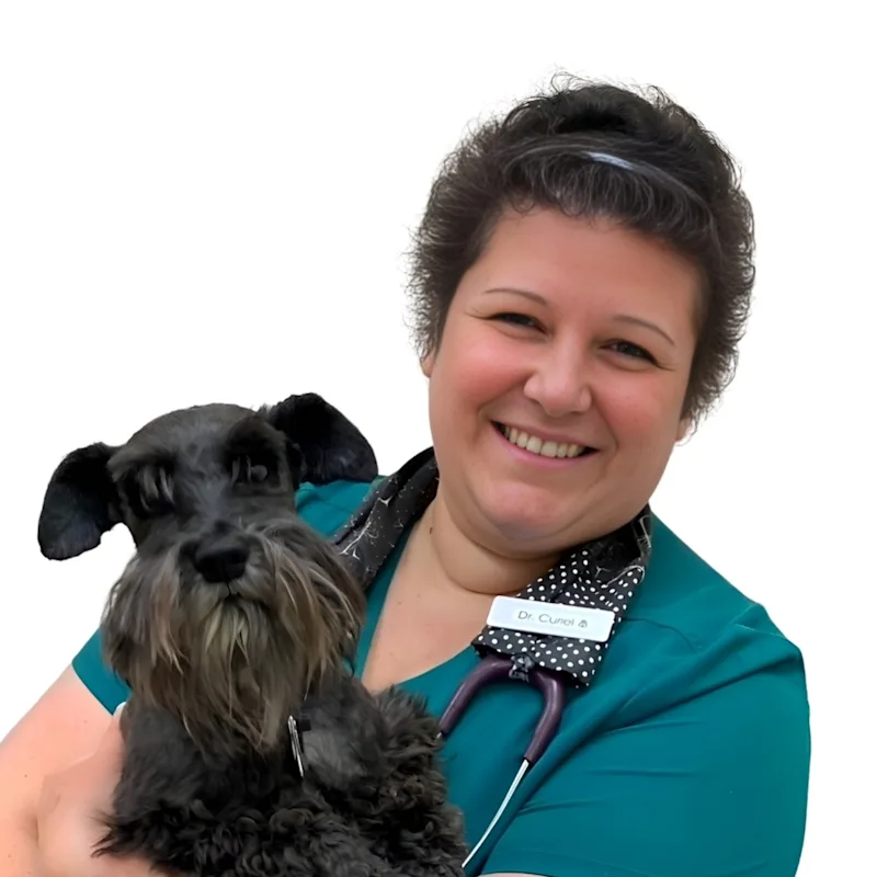 Dr. Abby Curiel Dr. Abby Curiel