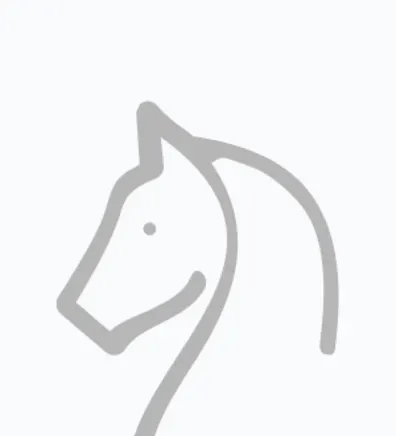 stencil drawing of horse's head