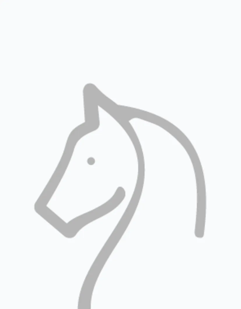 stencil drawing of horse's head