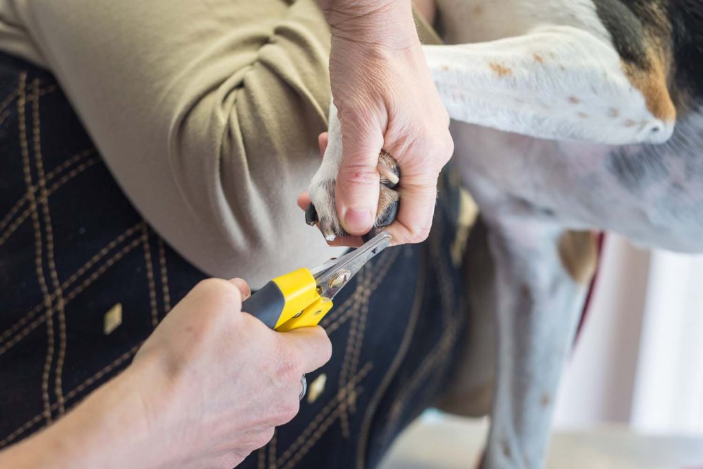 Dr. Felicia Uriarte performing a full physical examination on a patient.