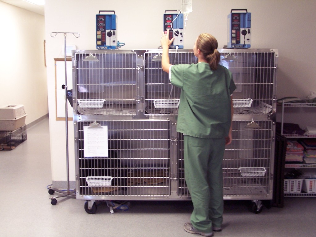 Staff member tending to crates