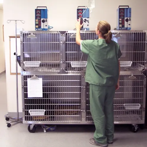 Staff member tending to crates Staff member tending to crates