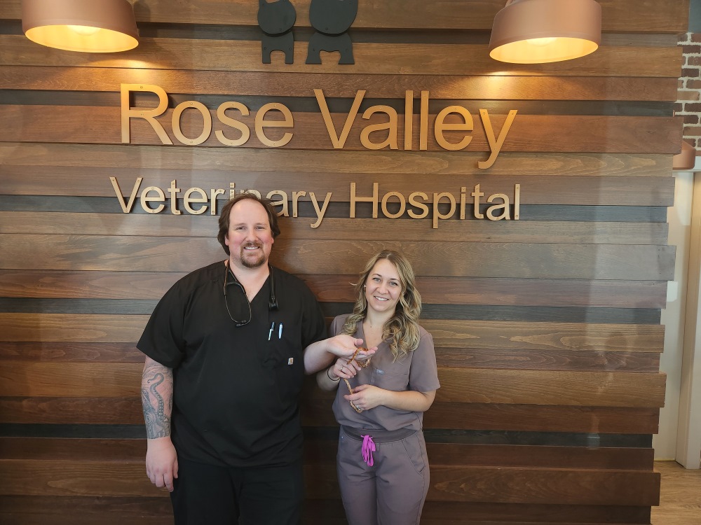  2 Vets Holding a snake