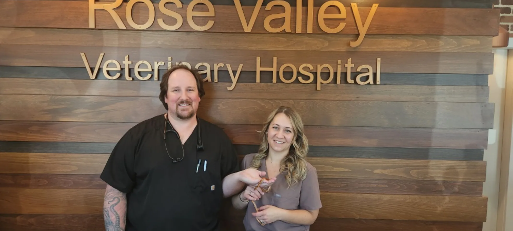 2 Vets Holding a snake 2 Vets Holding a snake