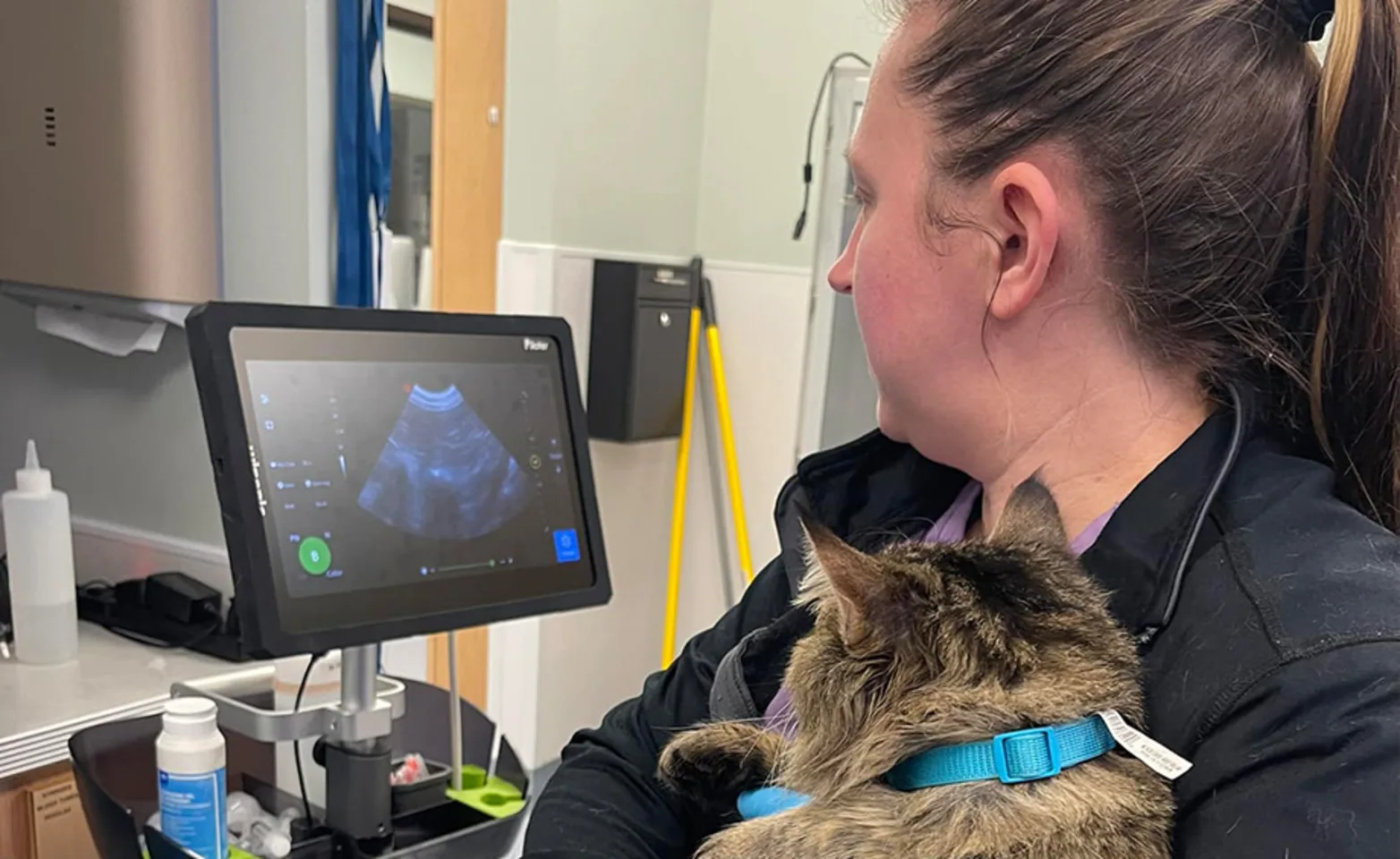 Woman looking at a screen. Woman looking at a screen.