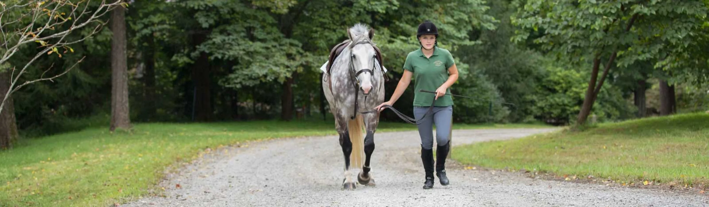 Staff member walking with a white and grey spotted horse Staff member walking with a white and grey spotted horse