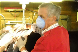 vet performing surgery 