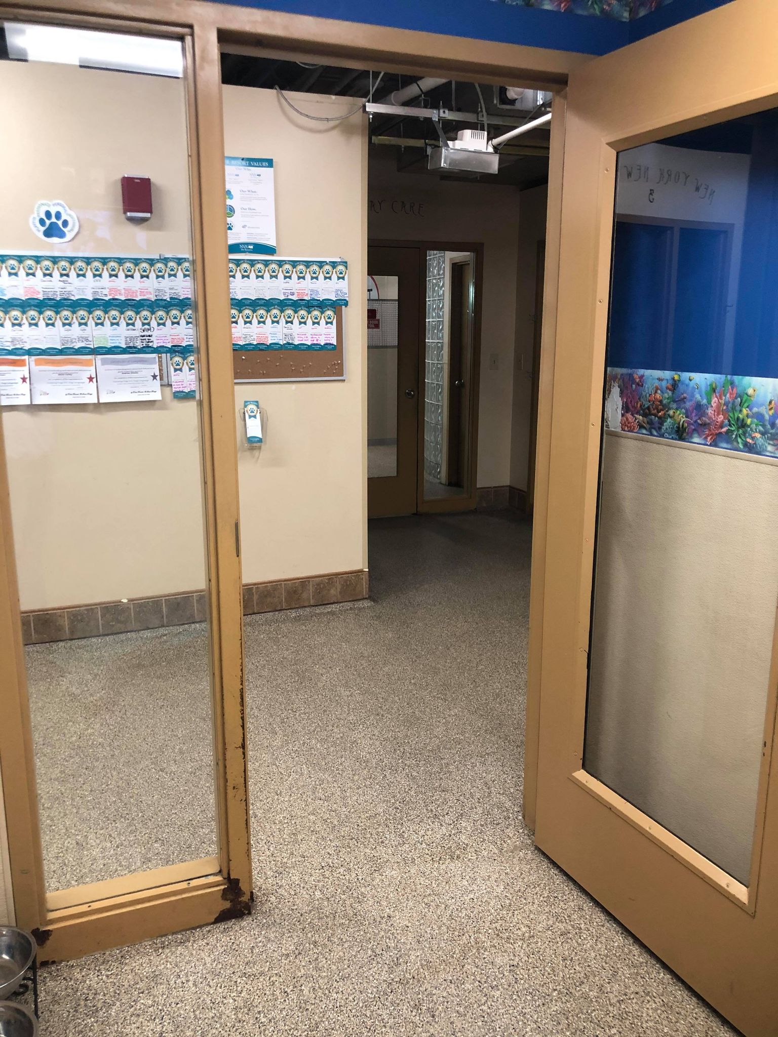 Vacation on the Reef 5 looking out