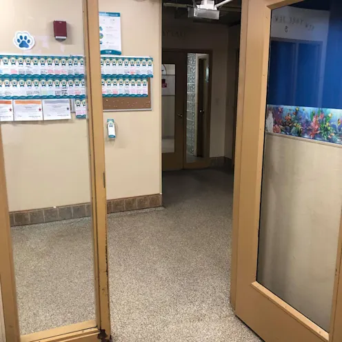 Vacation on the Reef 5 looking out Vacation on the Reef 5 looking out