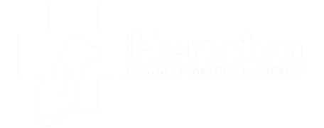 Herndon Animal Medical Center  Logo Herndon Animal Medical Center  Logo
