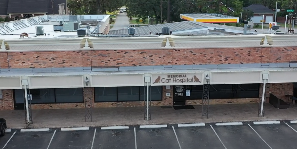 Building Exterior of Memorial Cat Hospital